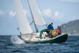 oystercatcher 3245c whyw16 sun 800 0480w
